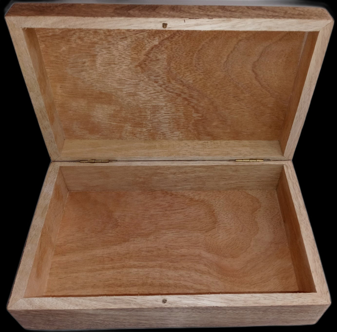 5"x8" Doggie Paw Stash Box